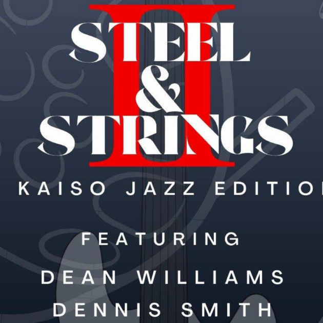 Steel & Strings2